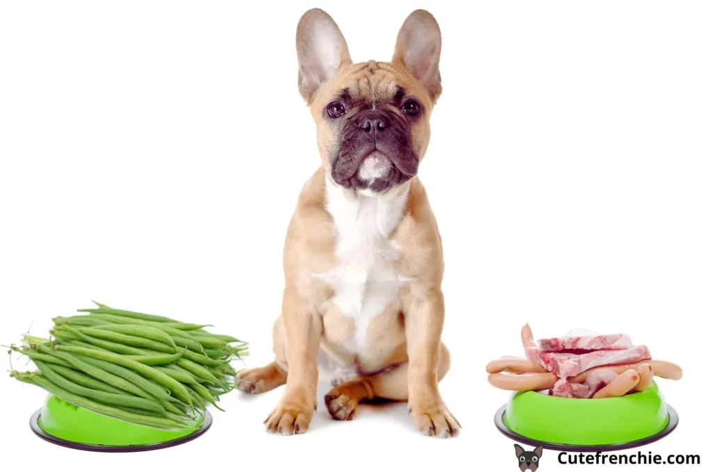 French Bulldogs with bowl of meat and bowl of green beans