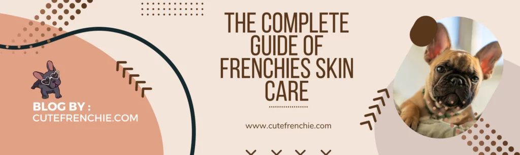 frenchie bulldog guide for skin care image